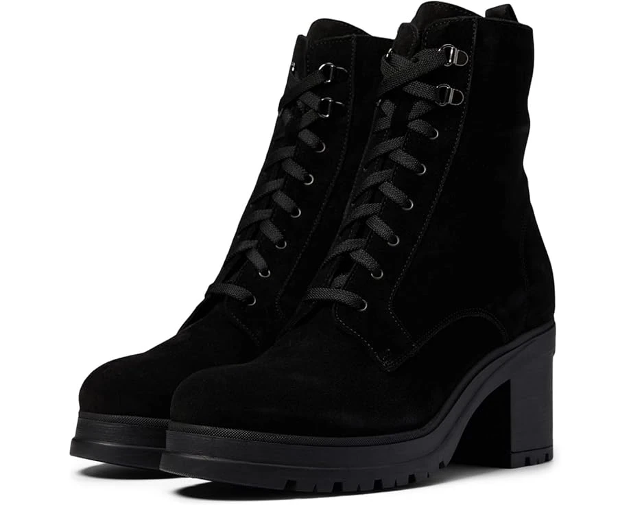 La Canadienne Prunella 1 La Canadienne Prunella