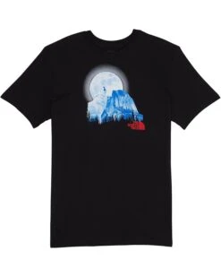 The North Face Kids Short Sleeve Graphic Tee (Little Kids/Big Kids)