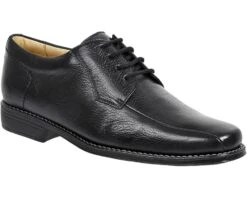 Sandro Moscoloni Belmont