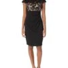 Alex Evenings Petite Short Empire Waist Sheath Dress With Sequin Bodice