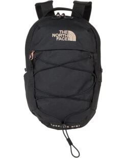 The North Face Borealis Mini Backpack