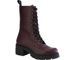 Unity In Diversity Dalmacia