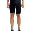 Craft Core Endur Shorts