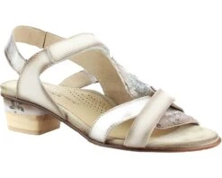 Unity In Diversity Saffi