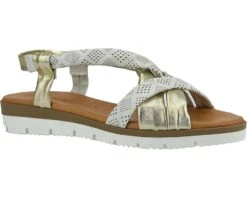 Unity In Diversity Decennio