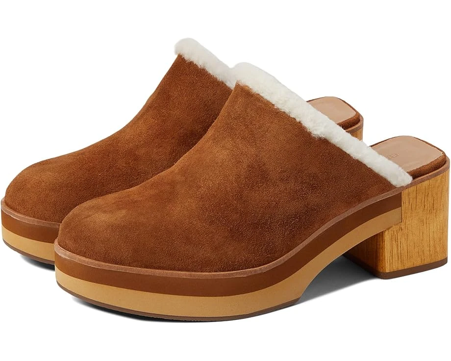 Bernardo Sky 1 Bernardo Sky