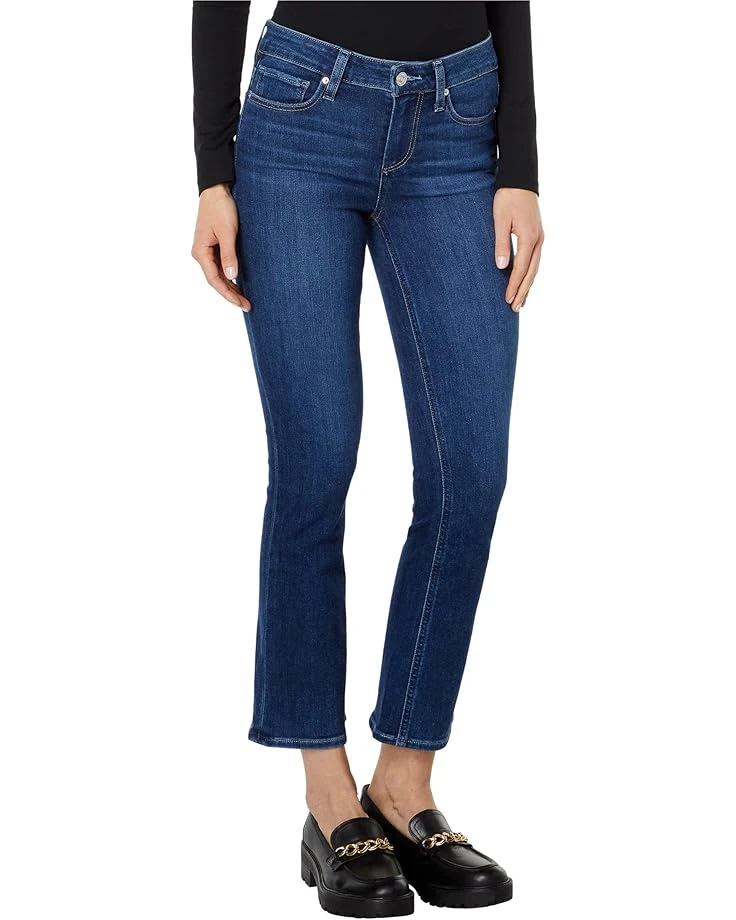 Paige Shelby In Portrait 1 Paige Shelby In Portrait