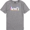 Levi's® Kids Graphic T-Shirt (Big Kids)